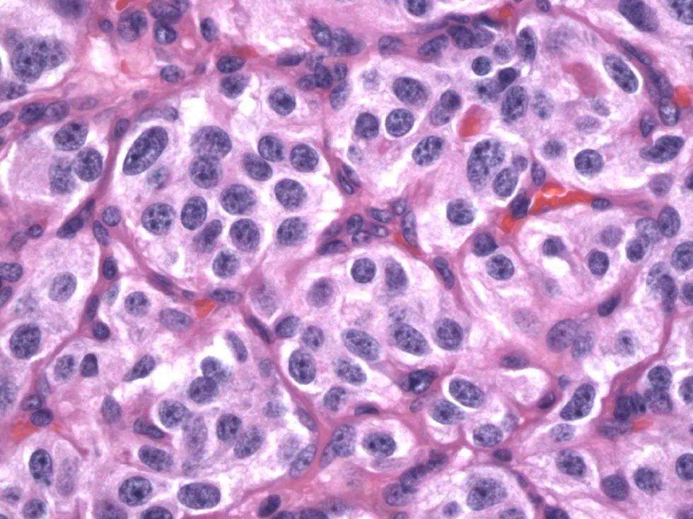 每日一题_2022.12.27