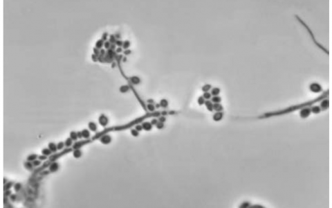 每日一题_2022.12.01