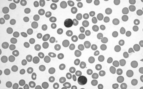 每日一题_2022.12.04