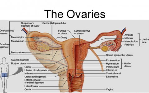 每日一题_2022.12.10