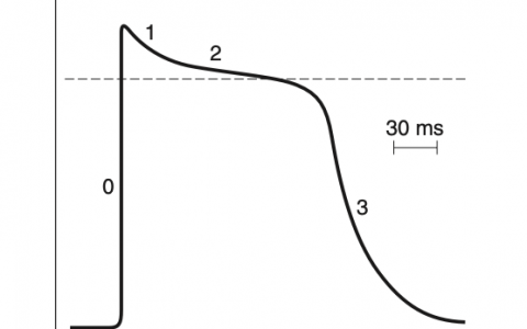 每日一题_2022.12.13