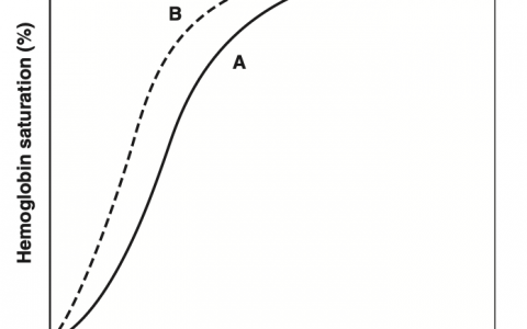 每日一题_2022.12.18