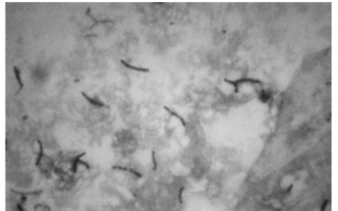 每日一题_2022.12.19