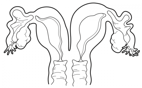 每日一题_2022.12.28
