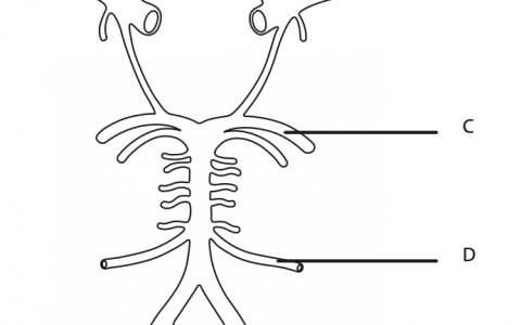 每日一题_2022.12.25