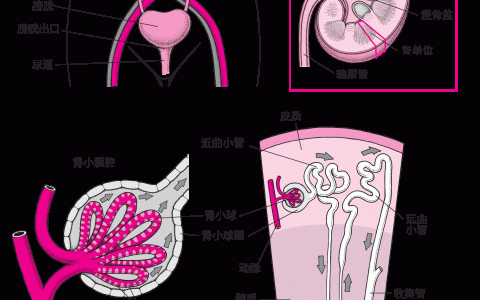 每日一题_2022.12.26