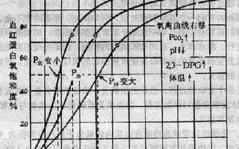 每日一题_2023.01.05