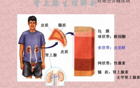 每日一题_2023.01.07