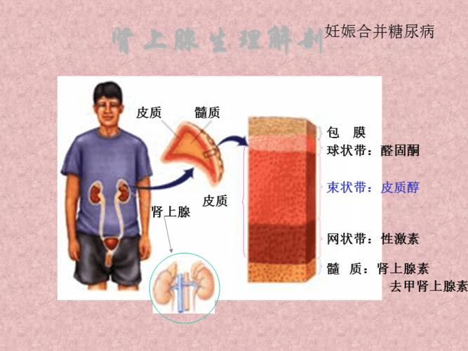 每日一题_2023.01.07