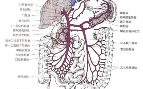 每日一题_2023.01.20