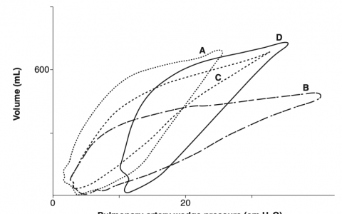 每日一题_2023.01.29