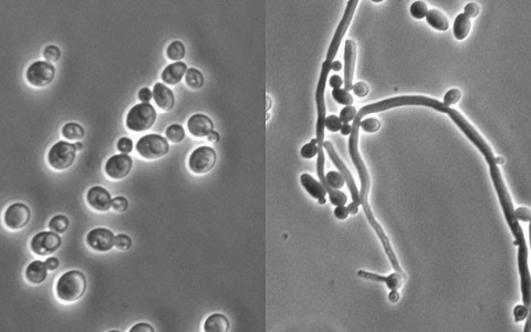 每日一题_2023.01.30