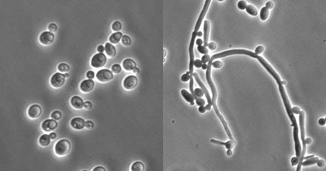 每日一题_2023.01.30