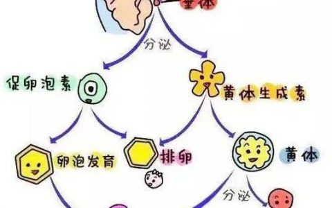 每日一题_2023.01.15