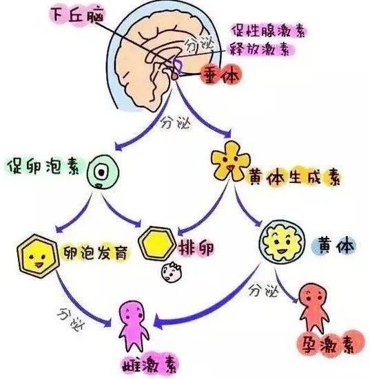 每日一题_2023.01.15
