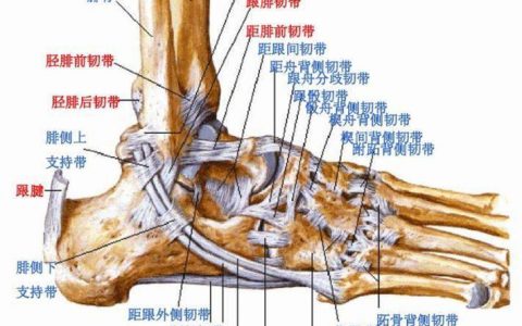 每日一题_2023.01.24