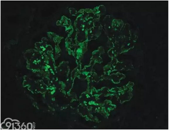 每日一题_2023.01.02