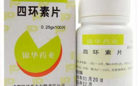 每日一题_2023.01.17