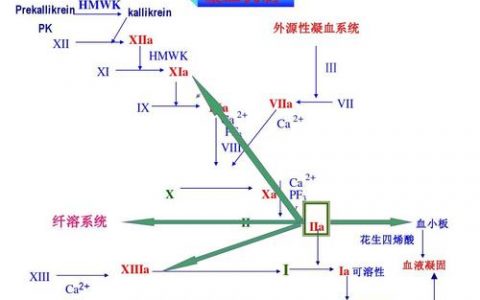 每日一题_2023.01.22