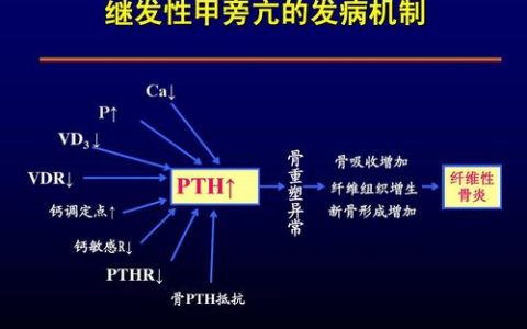每日一题_2023.01.31