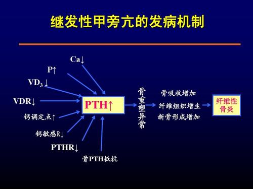 每日一题_2023.01.31