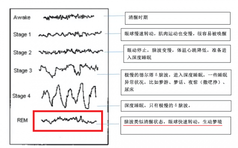 每日一题_2023.01.03
