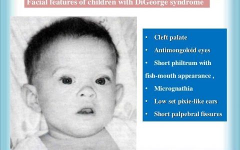 每日一题_2023.01.10