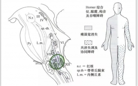 每日一题_2023.02.03