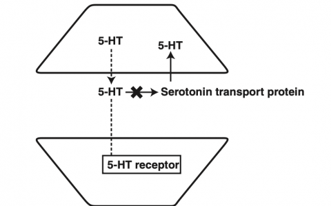 每日一题_2023.02.04