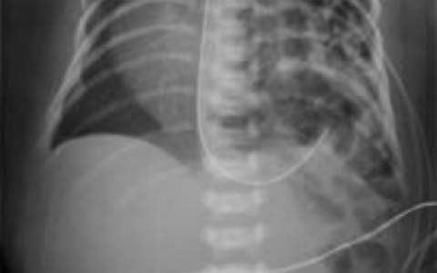 每日一题_2023.02.18