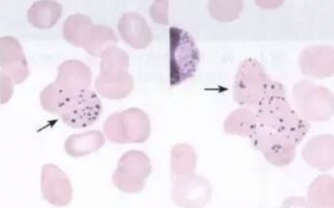 每日一题_2023.02.25