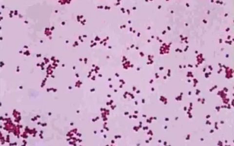 每日一题_2023.02.13