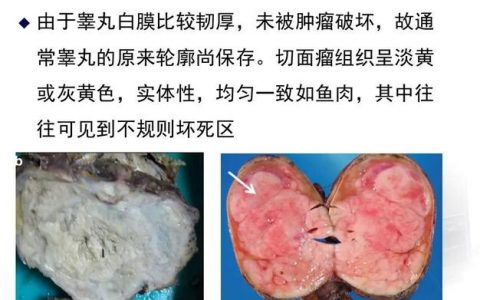 每日一题_2023.02.05