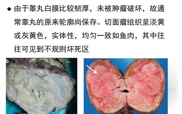 每日一题_2023.02.05