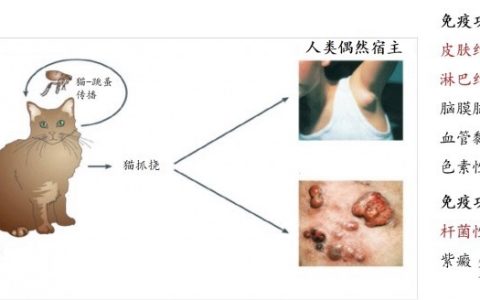 每日一题_2023.02.11