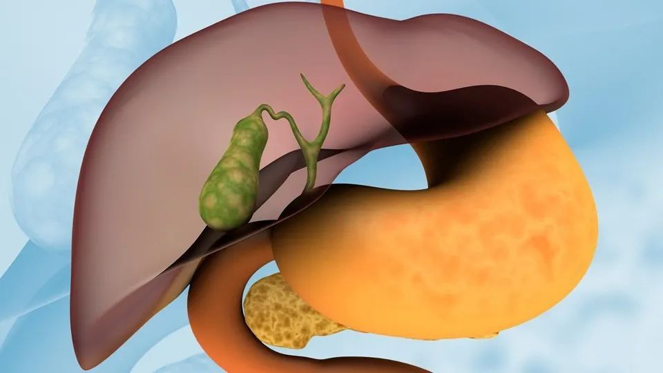 每日一题_2023.02.23