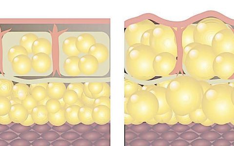 每日一题_2023.02.12