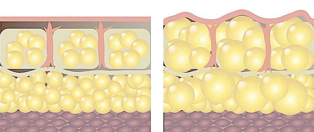 每日一题_2023.02.12