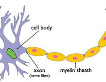每日一题_2023.02.27