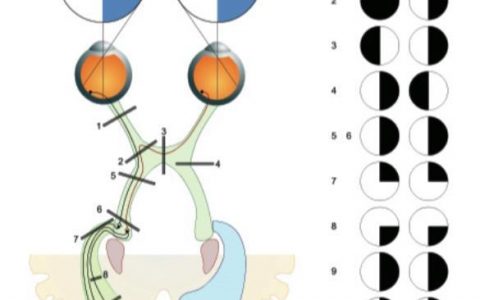 每日一题_2023.02.08