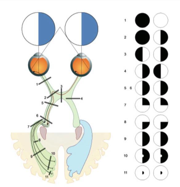 每日一题_2023.02.08