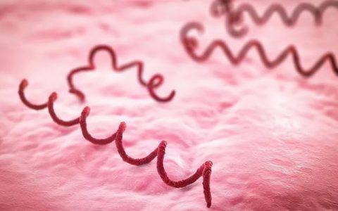 每日一题_2023.02.19