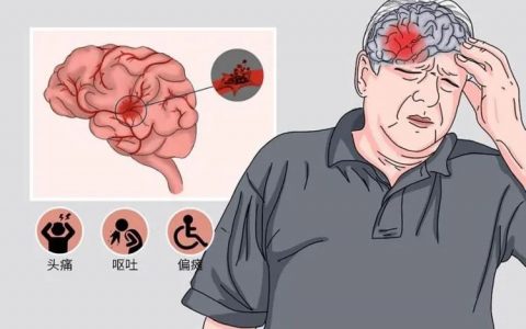 每日一题_2023.02.10