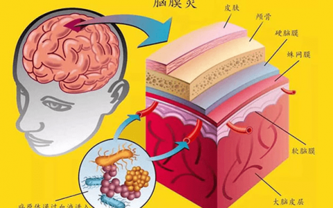 每日一题_2023.02.20