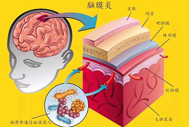 每日一题_2023.02.20