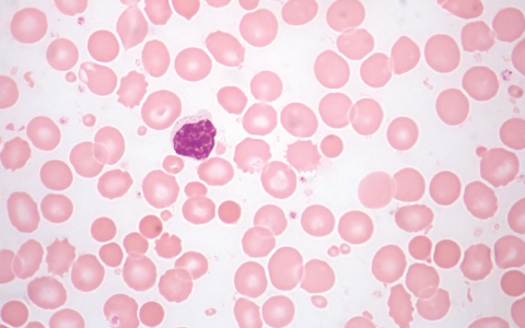 每日一题_2023.02.16