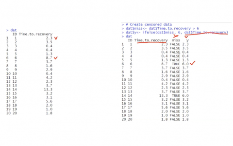 生存分析-贝叶斯参数生存模型