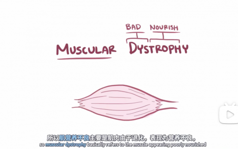 【Osmosis】Duchenne型肌营养不良