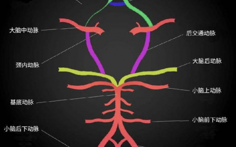 每日一题_2023.03.27