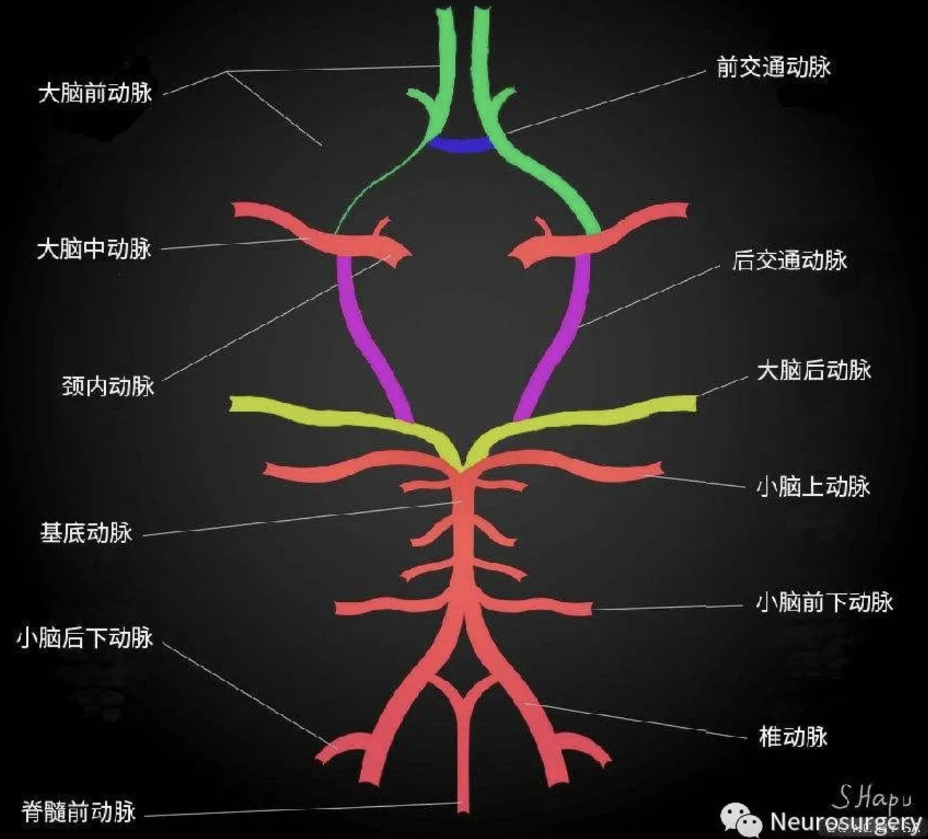 每日一题_2023.03.27